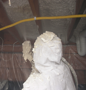 Corpus Christi TX crawl space insulation